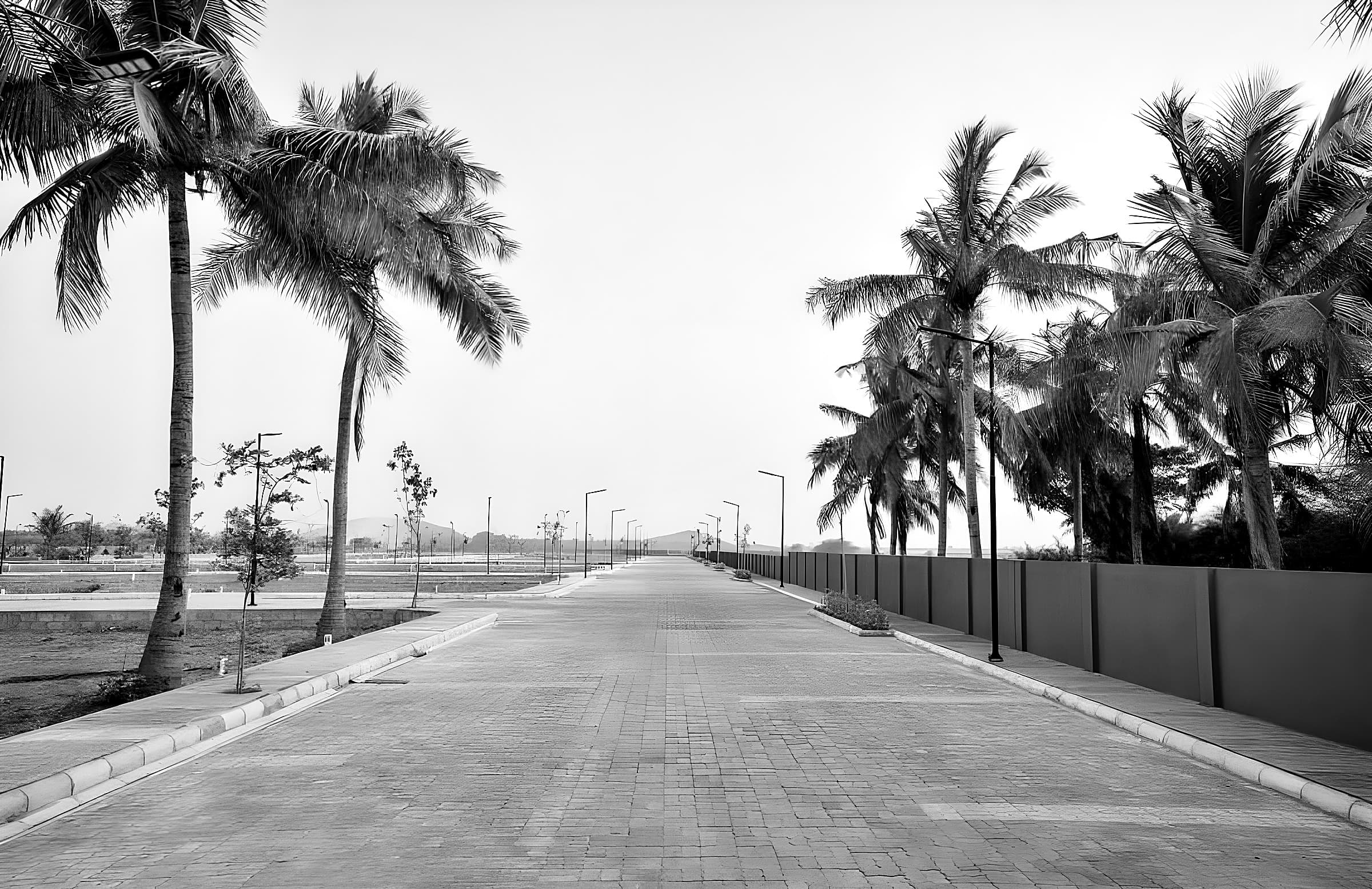 Palm-lined paver road inside Paulsn Gardens