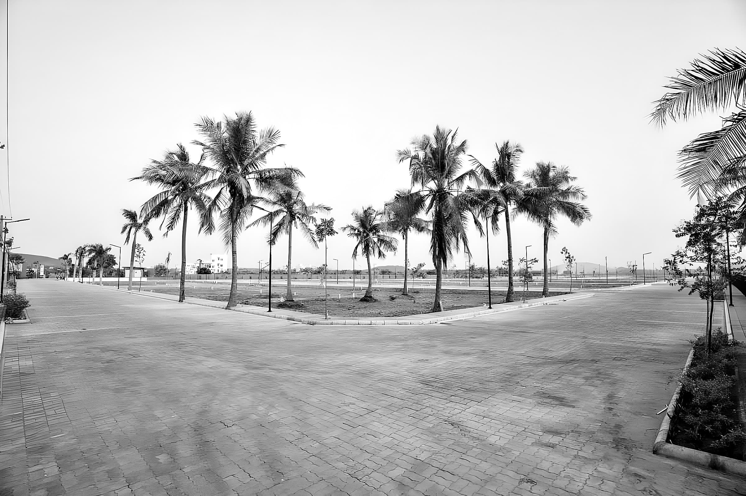 Road junction with palms inside Paulsn Gardens